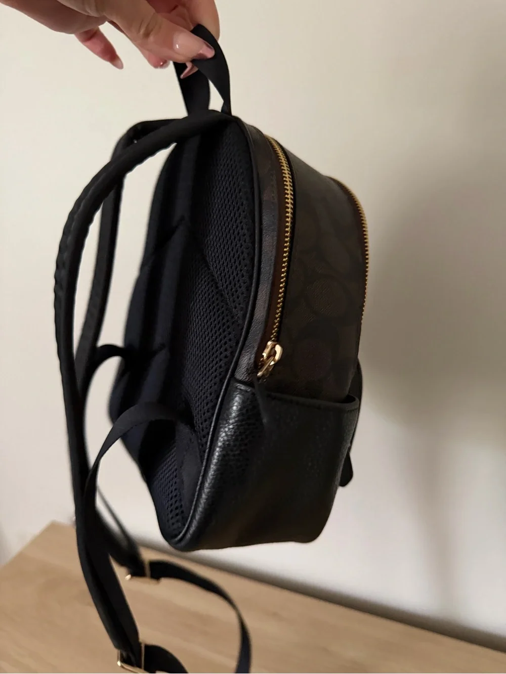 Coach Mini Backpack in Brown and Black with Gold Hardware